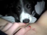 Teen enjoys getting licked by her dog&#039;s wet tongue
